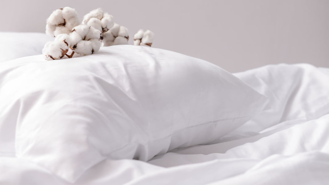 Foam Bed vs Cotton Bed